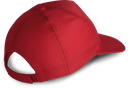 Back View