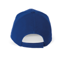 Back View