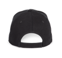 Back View