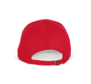 Back View