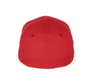 Back View
