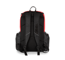 Back View