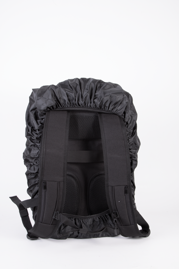 Back View
