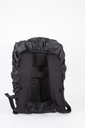 Back View