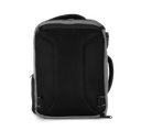 Back View