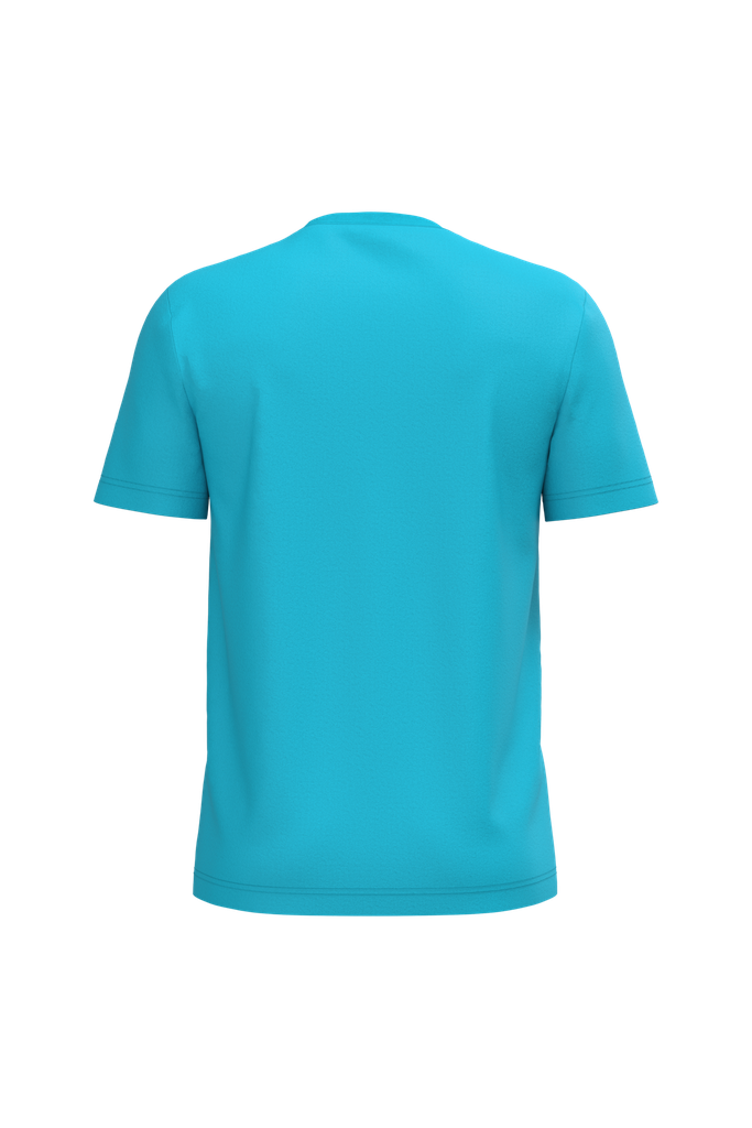 Back View