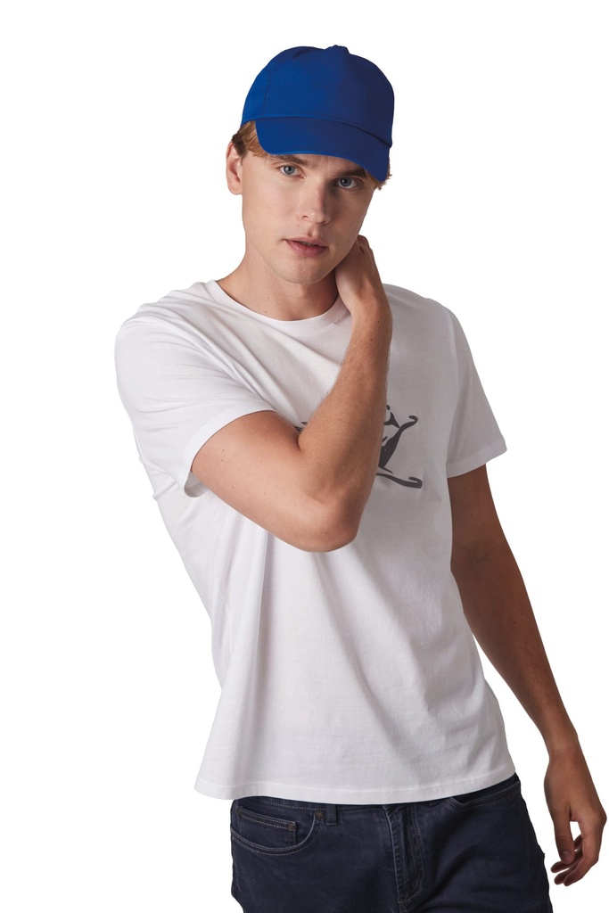5 panels cap
