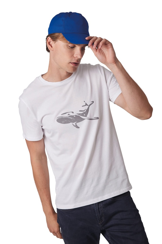 5 panels cap