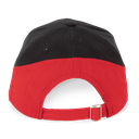 Back View