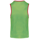 Back View