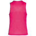 Back View