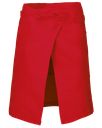 Back View