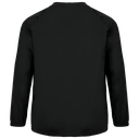Back View