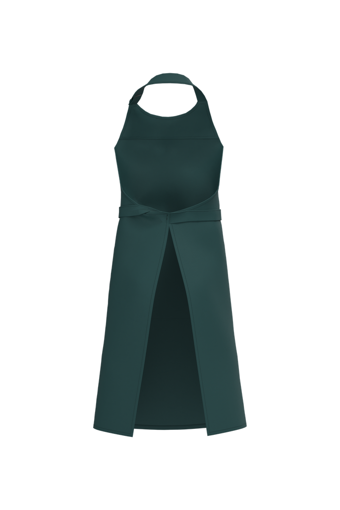 Back View