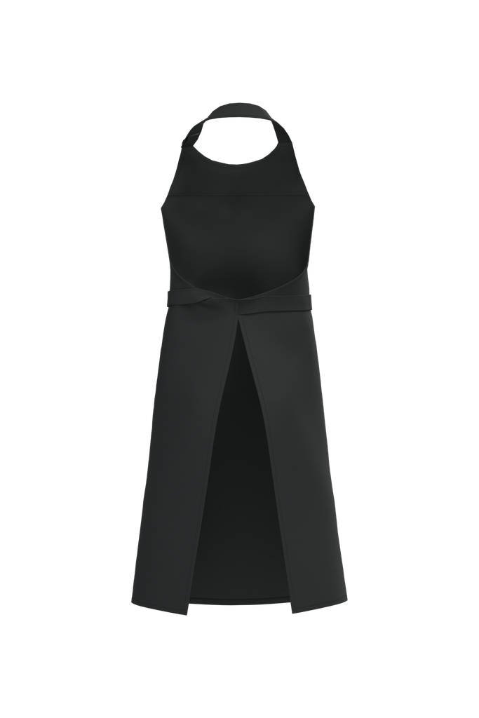 Back View