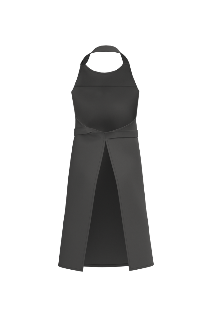 Back View