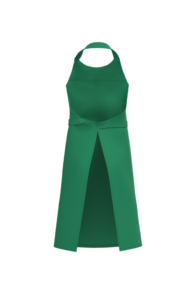 Back View