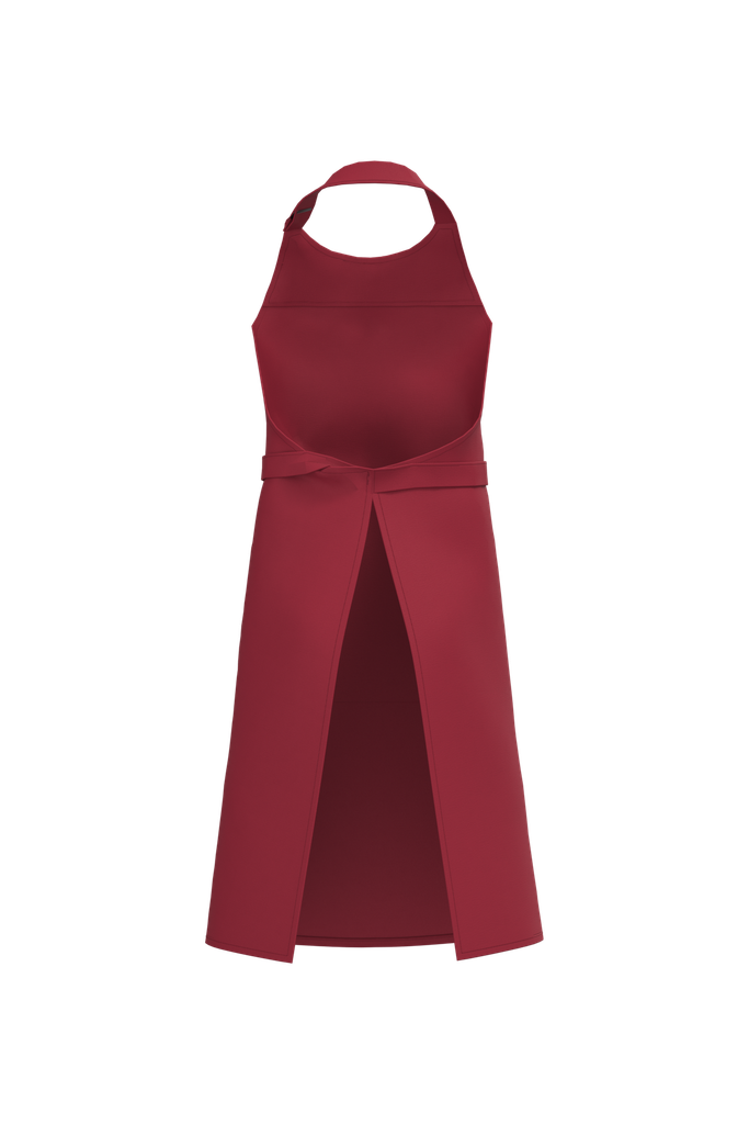 Back View
