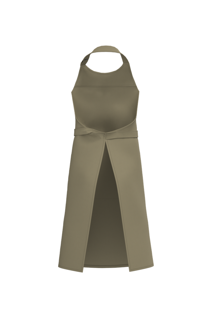 Back View