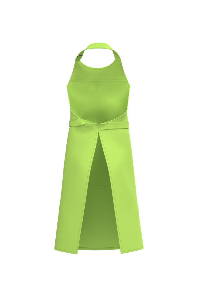 Back View