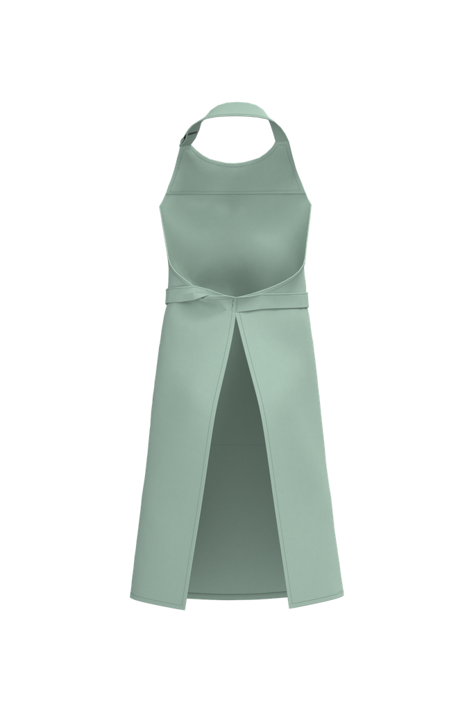 Back View