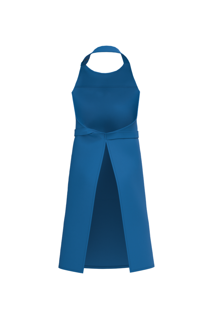 Back View