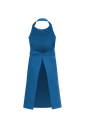 Back View