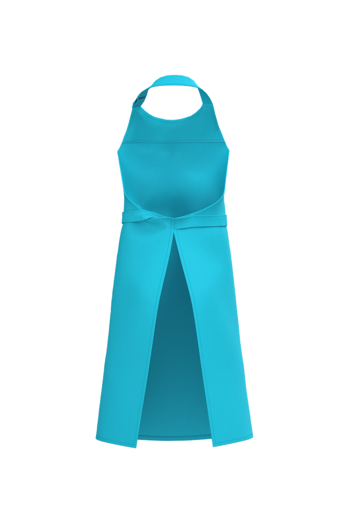 Back View