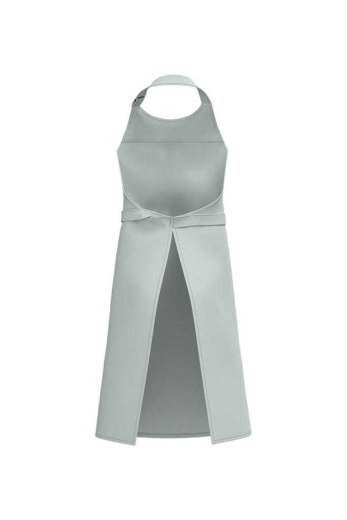 Back View