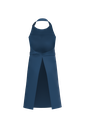 Back View