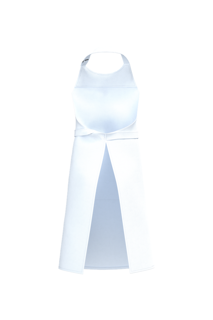 Back View