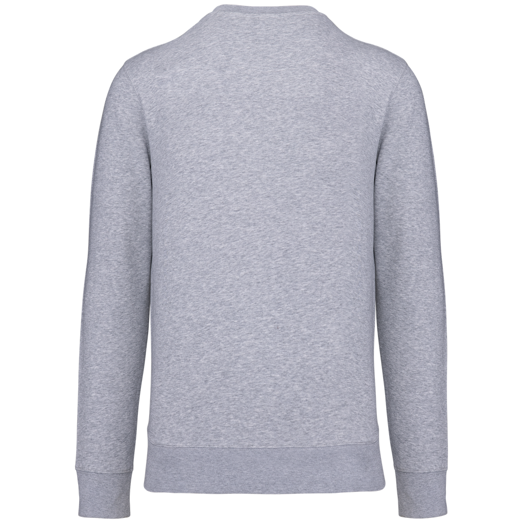 Back View