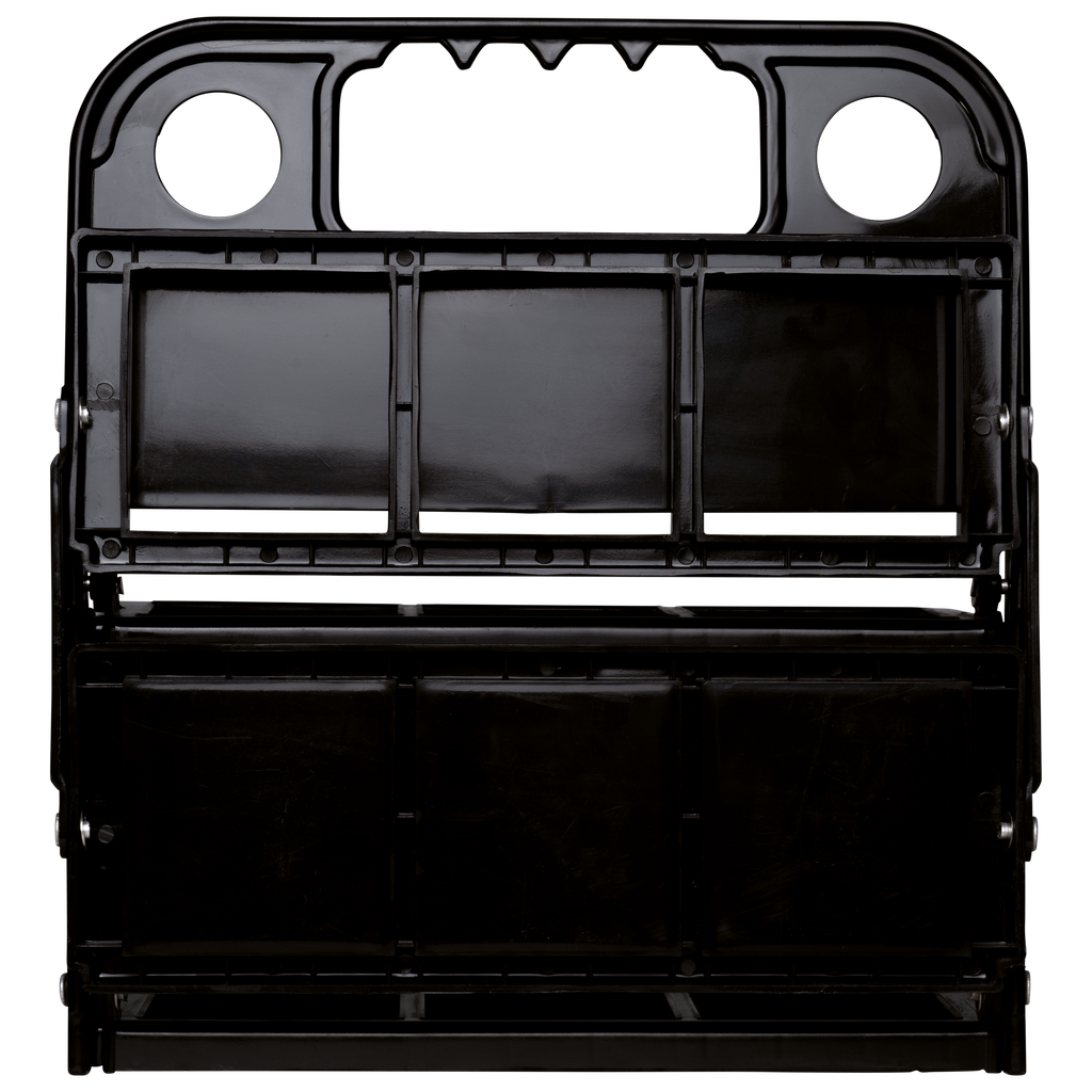 Back View