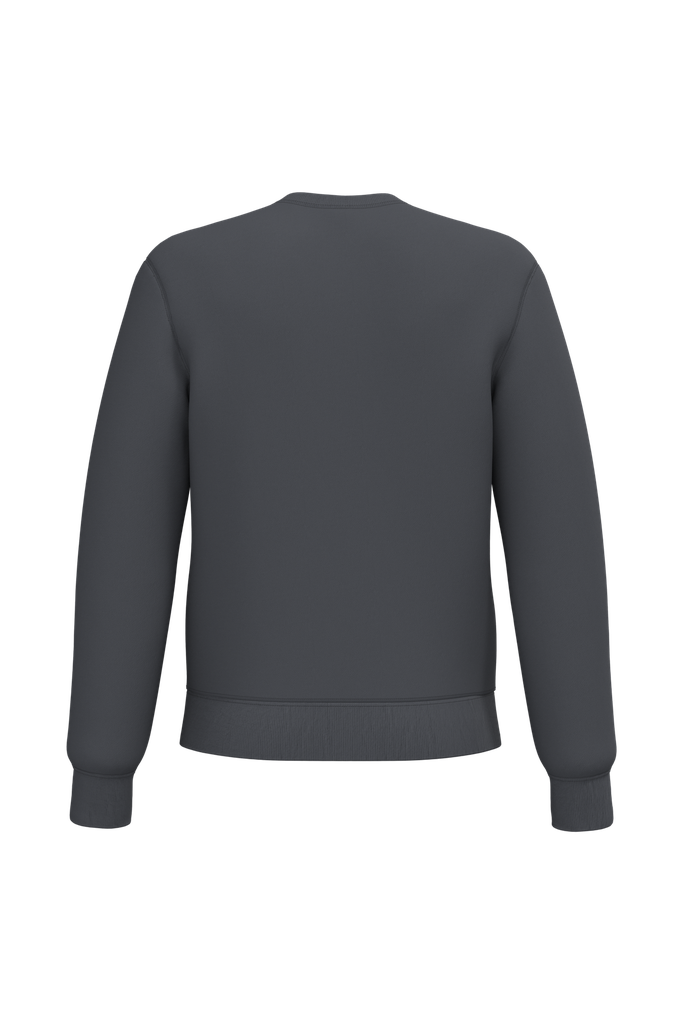 Back View