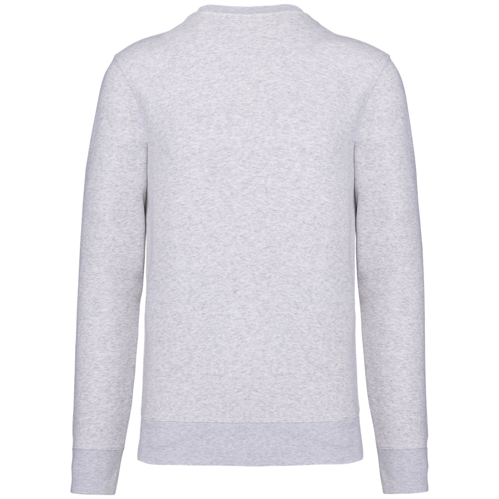 Back View