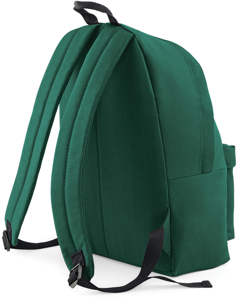 Back View