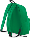 Back View