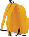 Back View