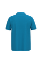Back View
