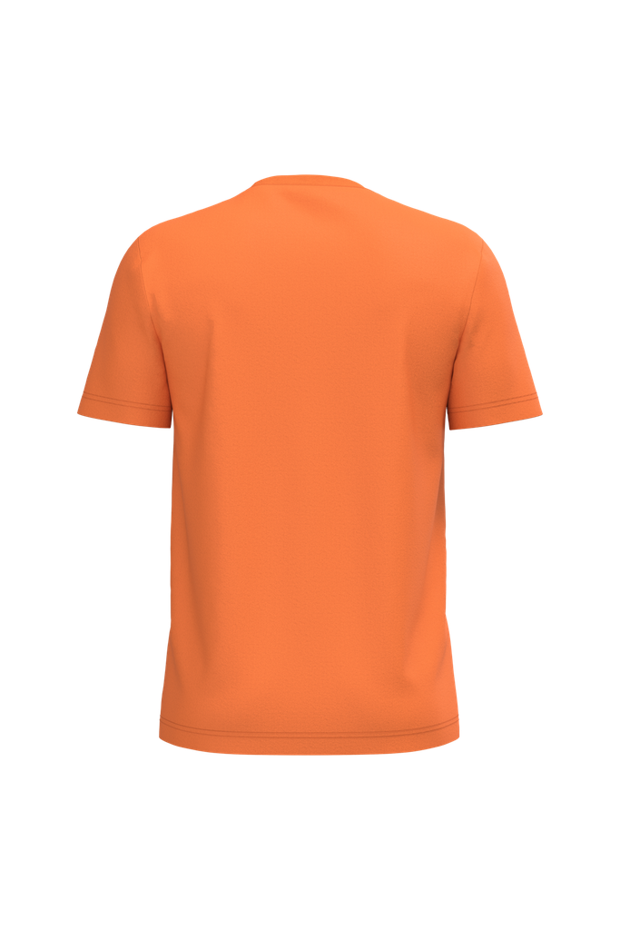 Back View