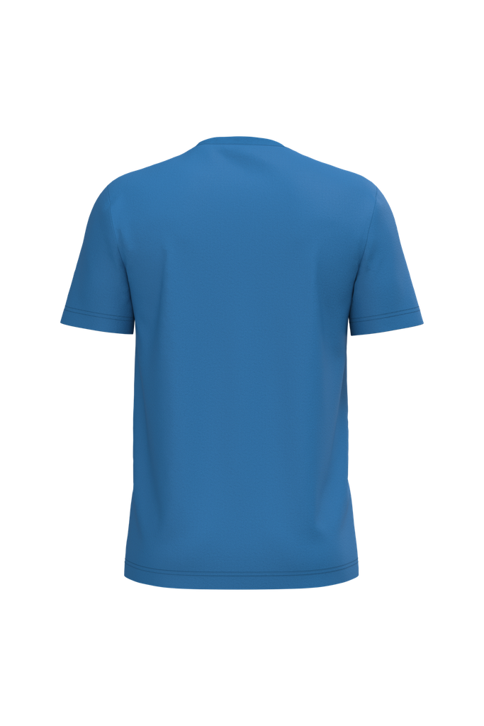 Back View