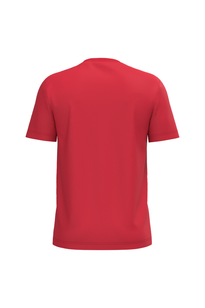 Back View