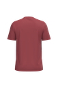 Back View
