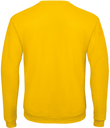 Back View