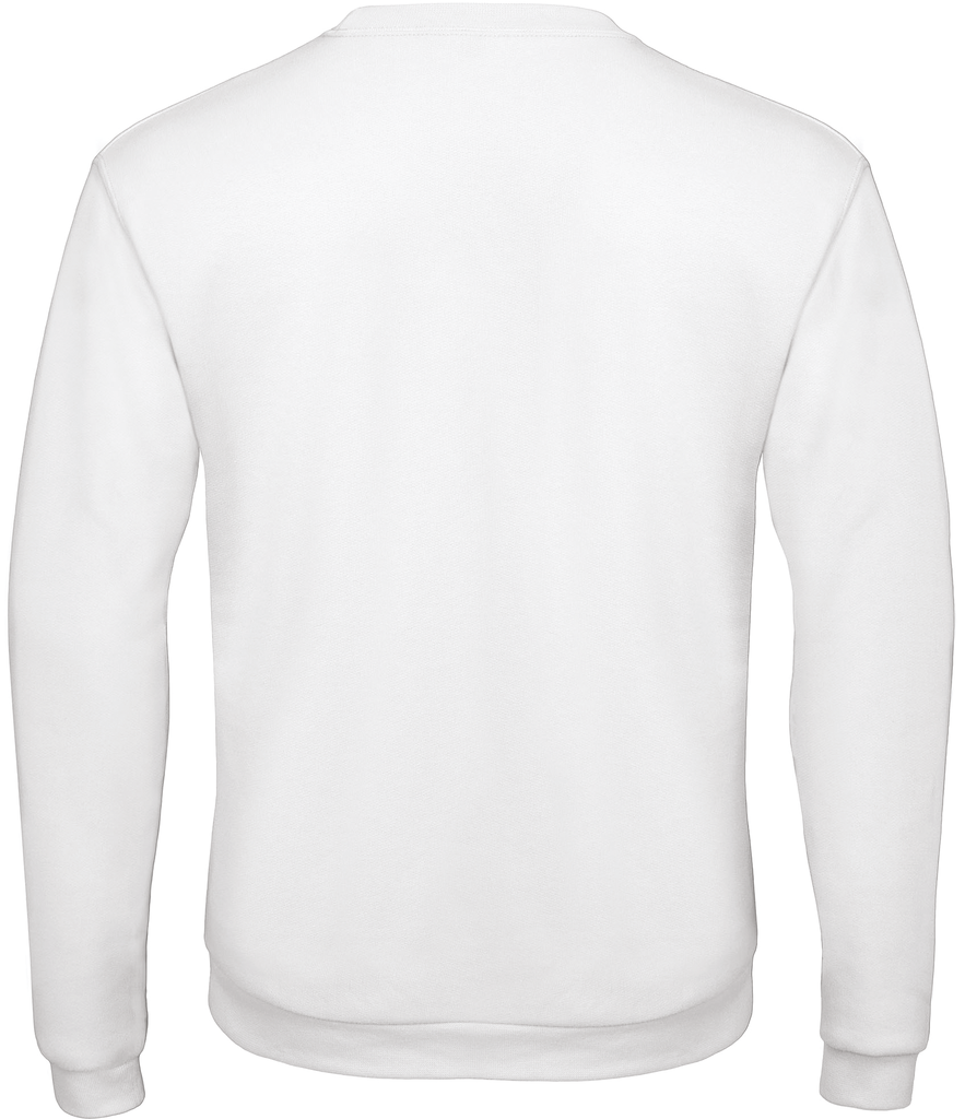 Back View