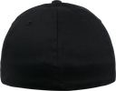 Back View