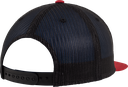 Back View