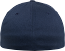 Back View
