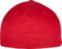 Back View