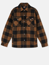 Portland shirt  (EX. DSH5000) - Dickies